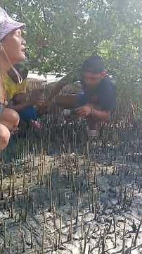 Urinal prank funny video