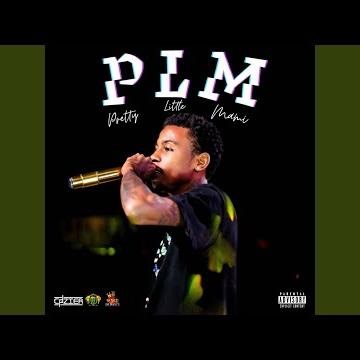 P.L.M (Radio Edit)