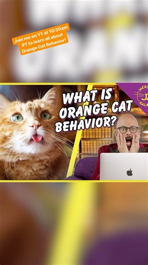 When I set out to make a video on Orange Cat Behavior, I thought it was just going to be facts about orange cats. Little did I know, “Orange Cat Behavior” is a massive internet phenomenon! Thank goodness we have the Cat Daddy Dictionary will explain all about the cat meme that has taken the internet by storm - and the science behind it. Join me today at 10:30am PT to watch the premiere! #OrangeCats #OrangeCat #OrangeCatBehavior #CatBehavior #Caturday | Jackson Galaxy