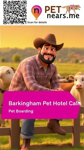 Barkingham Pet Hotel California - Pet Boarding Service in Palm Desert, California | Pet Near Me 281