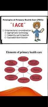 Principles & Elements of PHC