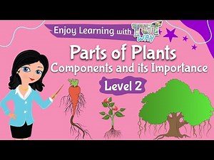 Parts of Plants & Functions | Science | TutWay