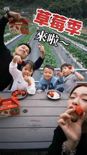 大姐 ♡︎ on Instagram: "因為太多人問是在哪裡 火速剪了影片😎 去年也帶黑糖來過（好姐妹介紹的 雖然有點高山 但環境乾淨草莓也好吃😋 老闆跟老闆娘很熱心 還教孩子怎麼剪草莓🍓 採完草莓洗完現吃👍🏻 拍了好多她們認真的瞬間🥹 一起回覆 「大湖草莓/山大王高架草莓園」"