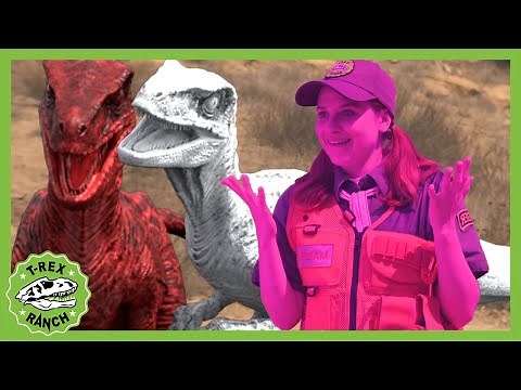 Rainbow Dinosaurs! Dinosaur Rainbow Ray Blaster | T-Rex Ranch Dinosaur Videos