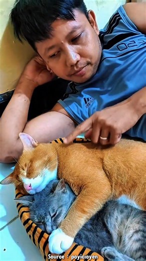 THE GINGER CAT'S REACTION WHEN WOKEN UP FOR WORK