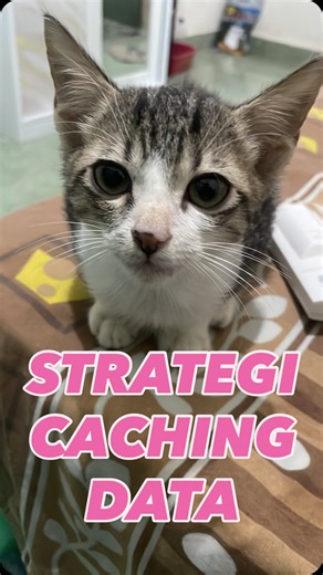 Preaty Coding | Software Engineer on Instagram: "🦶🏻Ngarep gaji gede, tapi loading app diatas 3 detik 🫵🏼 Masih banyak dev yang cuma jago bikin fitur tapi nggak paham cara kerja Caching. Akhirnya apa? Database jebol, user kabur, server boncos. 📌 Di video ini gue bongkar rahasia 3 layer caching yang wajib lo tau ☠️ Kalau lo masih nggak paham konsep ini, mending balik belajar algoritma dasar lagi deh. Coba absen di kolom komentar: loading terlemot yang pernah lo temuin berapa ms? Kita bandingin