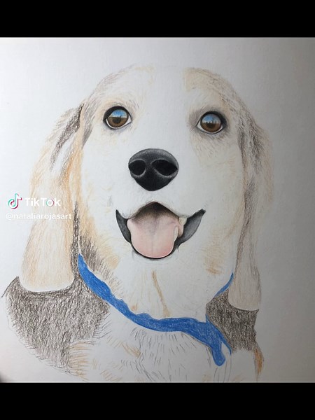 Colorful Beagle Drawing with Colored Pencils - Dooby Art Commission