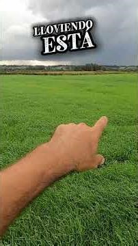 "📢Alerta de ciclón extratropical 🌪️Hoy desafiamos al clima ⛈️ y el campo nos premió🏆 "