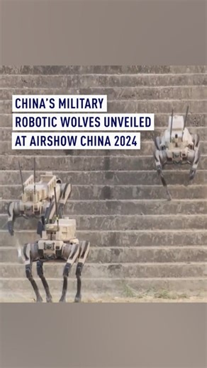 China's military robotic wolves unveiled at Airshow China 2024