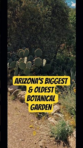 🌵 Must See Botanical Garden in Arizona #arizonaliving #arizonahiking #desertlife