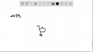 SOLVED:What substrates are used in DNA synthesis?