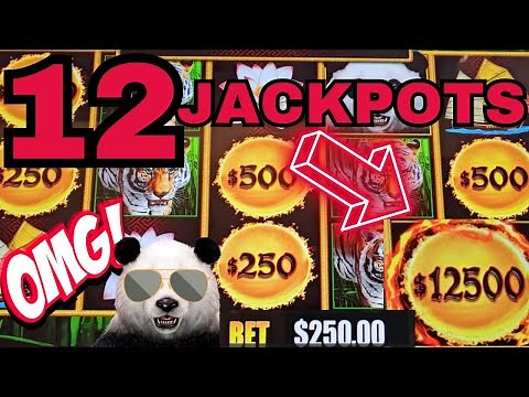 BIGGEST WIN OF MY LIFE!!!! THIS IS INSANE!!!! PANDA MAGIC IS ON FIRE UP TO $250 SPINS!!!!!