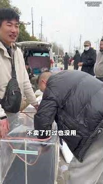 Ningbo's Taobi Xiong Shines in Affordable Big Brother Bang