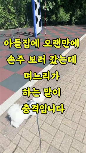 손주보러 갔다가 며느리가 하는 말에 펑펑 울었었습니다