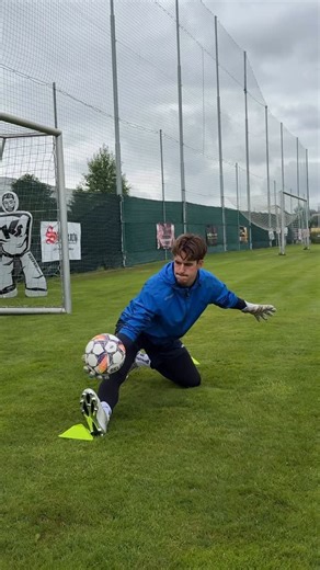 Gino Harreman | Goalkeeper  on Instagram: "Basics are key! Methodically working on short blocks and the negative step with @ft_goalkeeper 易 #goalkeeper #goalkeepers #goalkeepertraining"