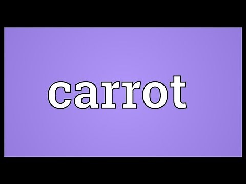 Carrot Meaning