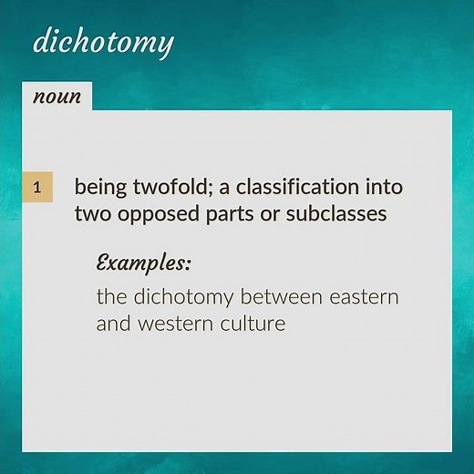 Dichotomy | meaning of Dichotomy