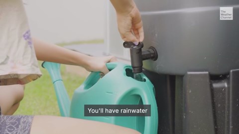 Using Rain Barrels To Control Your Garden’s Weather