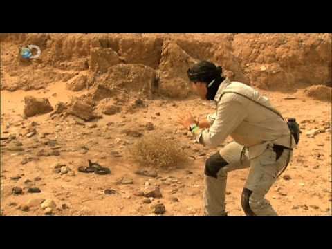 Man vs. Wild - Bear's Ultimate Survival Guide Part Two - Man vs. Snakes