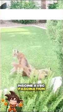 #wgitachi #pov #foryou #viral #fypシ #relatable #tiktok #kidsreel #babyreels #mrbeast #fb