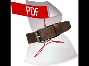 Windows: Comprimir PDF masivamente