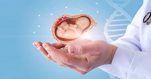 The Latest Research on Fetal Pain (with John Bockmann and Bridget Thill, MD, MS)