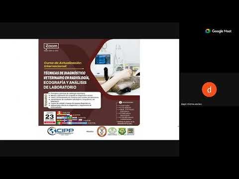 TÉCNICAS DE DIAGNÓSTICO VETERINARIO EN RADIOLOGÍA, ECOGRAFÍA Y ANÁLISIS DE LABORATORIO.🙋‍♀️🎉