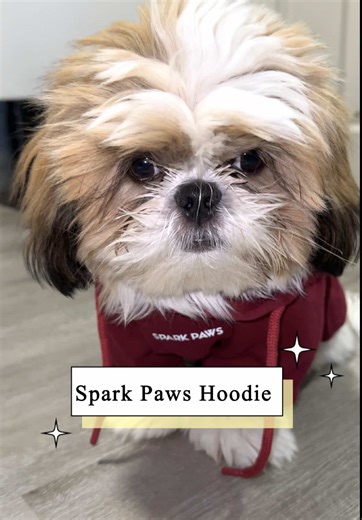 Cute Dog Hoodie from Spark Paws