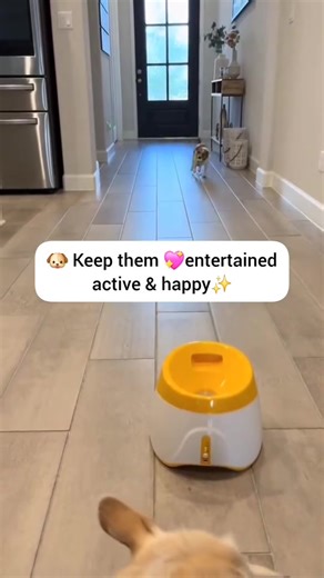 🐶💔 You love your dog… but are they bored right now?Let’s be honest.Cold weather. Long days. Busy schedules.And your dog is stuck inside with pent-up energy, boredom, and frustration 😔 That barking? The chewed furniture? Those sad eyes following you around the house? 🎾 Meet the Jirah Automatic Dog Ball Launcher ✅ Launches balls automatically for endless fetch ✅ Perfect for indoors, apartments, and winter days ✅ Keeps your dog mentally & physically stimulated ✅ Less guilt. Less mess. Less dest