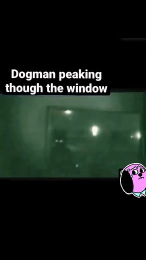 dogman peaking through the window #dogman #cryptid #cryptid #dogmansightings #creepy #scary
