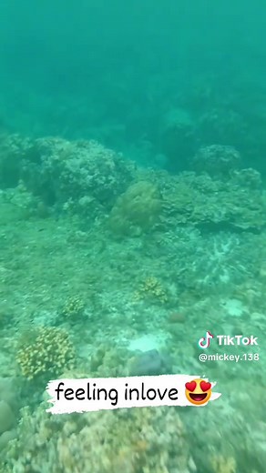 Set yourself free underwater.. #snorkelingtripsiquijorsanctuary