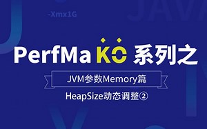 PerfMa KO 系列之 JVM 参数 Memory 篇 -【HeapSize动态调整②】