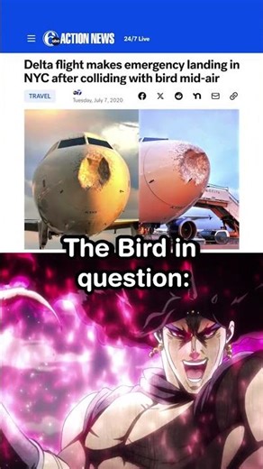 Joseph's Piloting Skills 🥀