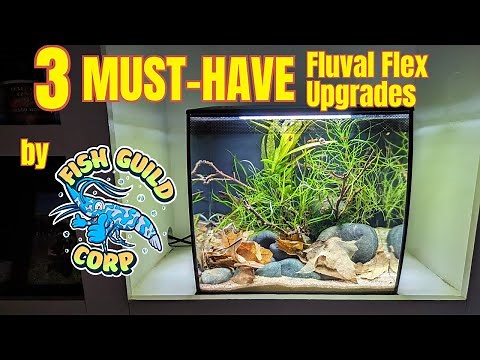Fluval Flex 3 Must Have Upgrades
