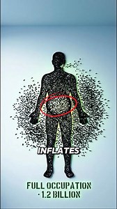 Dead Bodies Sit Up 6 Hours After Death (Morgue Workers Explain Why) Dead for 6 hours. Suddenly sits up in the casket. This isn't a horror movie. It's ATP energy still stored in muscles causing random contractions for 12 hours after death. Your gut bacteria keep eating your body from the inside, producing methane and hydrogen sulfide. The gas pressure builds until it forces air out of the lungs. The corpse groans. Sounds like breathing. When enough gas accumulates, the pressure pushes the torso f