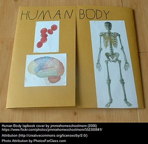 The Best Resources For Helping Beginner ELLs Learn Vocabulary About The Human Body