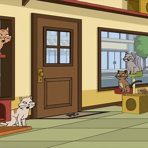 Cat Hissing | FAMILY GUY - GIPHY Clips
