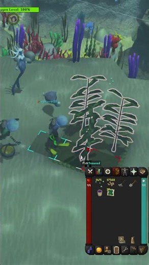 Pet Locked Ep.60 "Tangleroot" | By Inferior OSRS