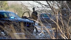 BACKTRACE Official Trailer (2019) Sylvester Stallone, Thriller Movie HD