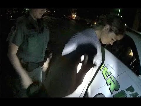 Actress Stacey Dash arrested in New Port Richey