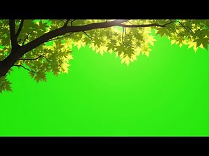 Tree branch moving green screen | Leaves green screen effect