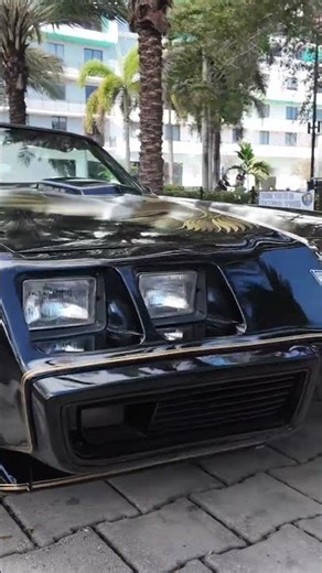 1979 Pontiac Firebird Trans Am #pontiac #classic #classiccars #viralshort #viralvideo #viral #wow