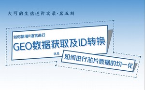 【GEO数据分析】使用R语言来进行GEO数据获取及ID转换