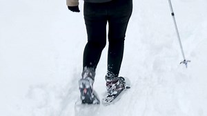 1.3K views | Winter along the Mohawk Trail—winding through the scenic...