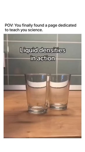 How Science Looks | A fascinating experiment demonstrating the principle of liquid density. The layers of different colored liquids remain distinct within the... | Instagram