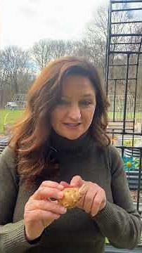 How to plant Sunchokes #gardening #gardentips #masterchef #sunchokes #yum #growyourownfood #garden