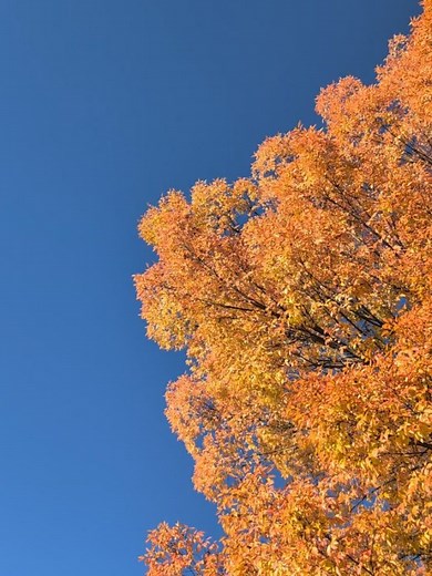 VRK Studios on Reels