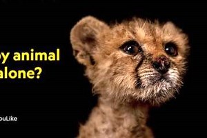 11 Outstanding Digital Media Campaigns from 2021