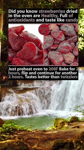 Effective Health Tips for Natural Medicine and Home Remedies