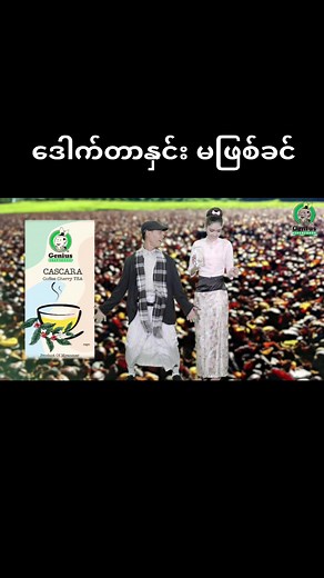 #Thansin_Seaser #Cascara_Tea #genius | Hlaing Myatt Soe